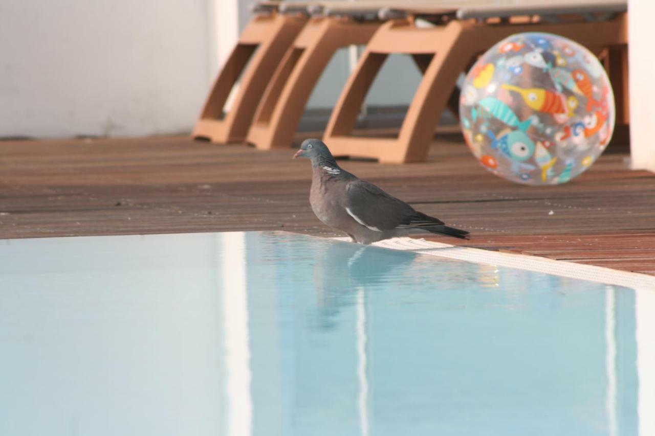 Hotel Luciana Μπιμπιόνε Εξωτερικό φωτογραφία